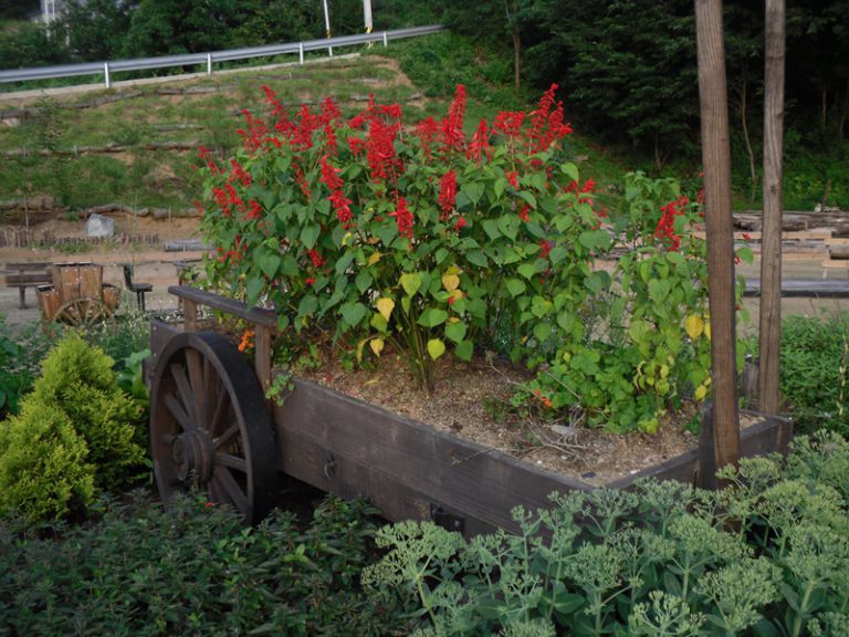 전통사륜꽃마차