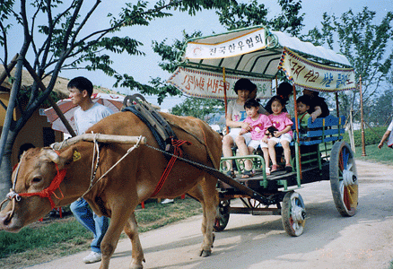 야외들마루 마차(12-15인승)