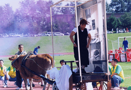 한샘(주)체육대회