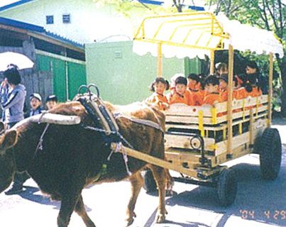 JUJU 테마동물원