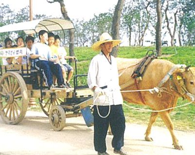 서울 상암 월드컵기간 행사마차